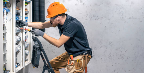 Best Electric Panel Repair  in Pepeekeo, HI